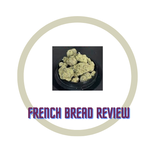 strain review
