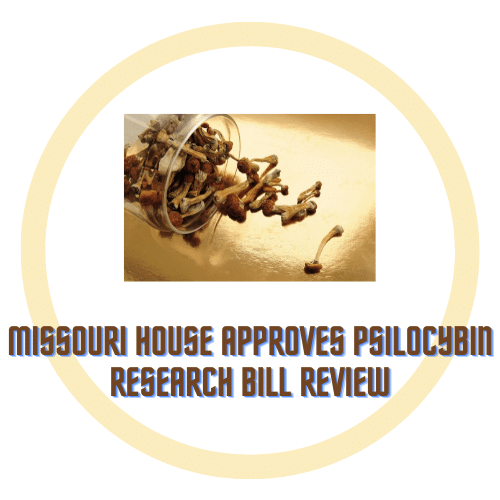 Missouri House approves Psilocybin Research Bill Review