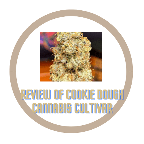 Cookie Dough Cannabis Cultivar: Weed Reviews