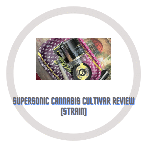 Super Sonic Cannabis Cultivar Review (Strain)