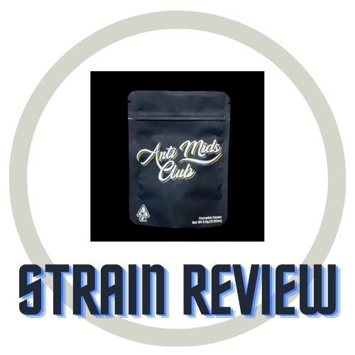 Strain review